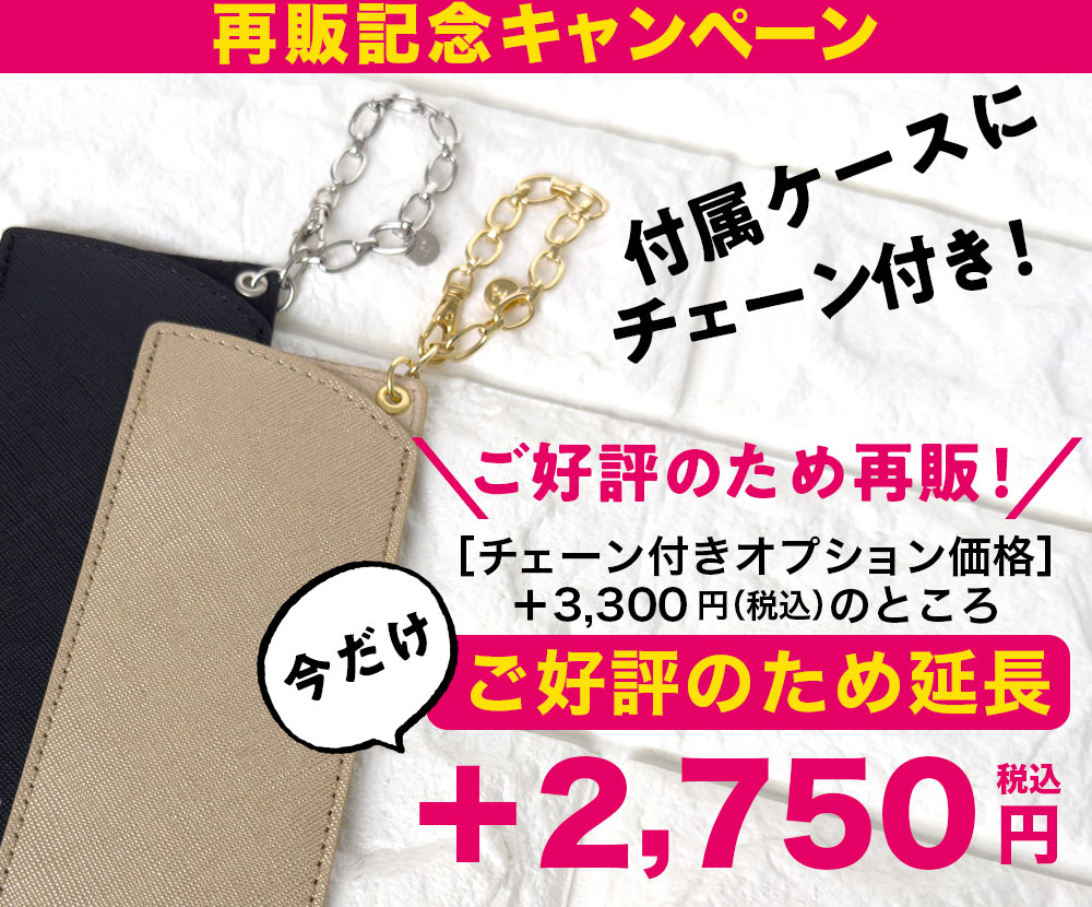 付属ケース用チェーンオプション