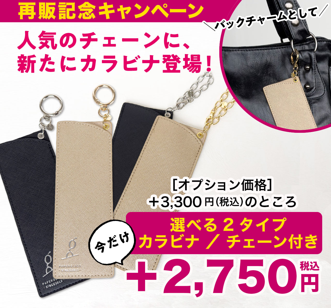 付属ケース用カラビナ・チェーン付き