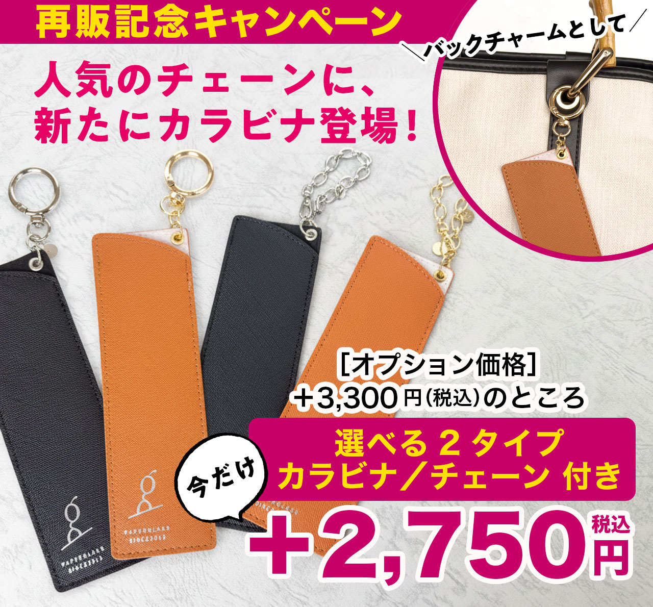 付属ケース用カラビナ・チェーン付き