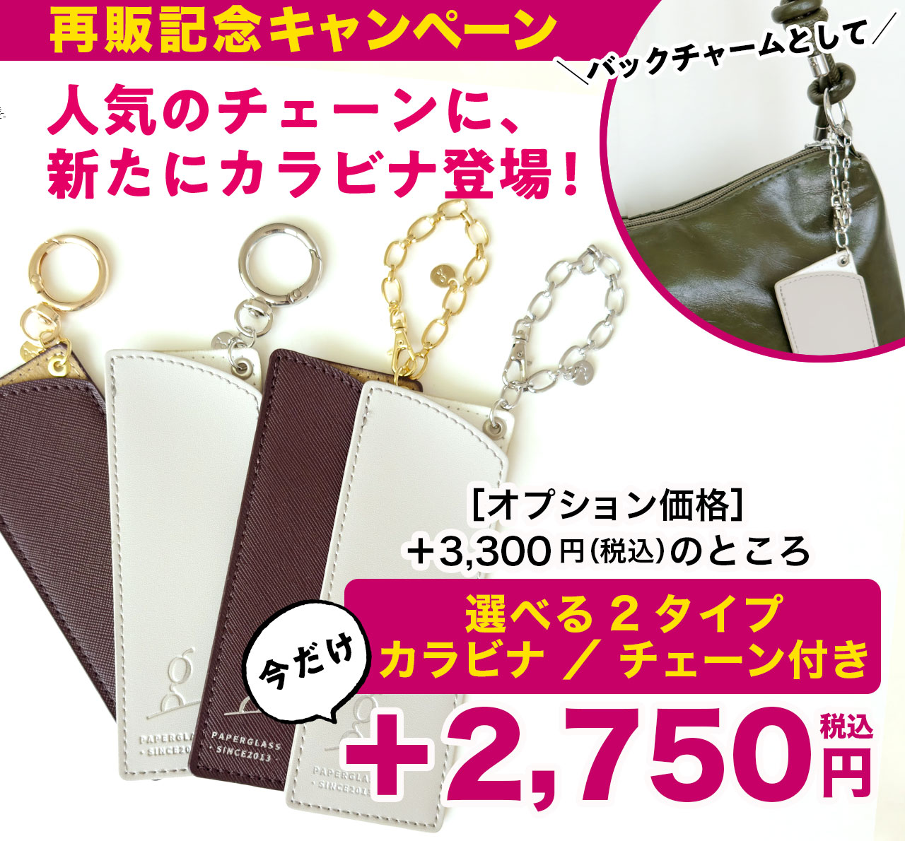 付属ケース用カラビナ・チェーン付き