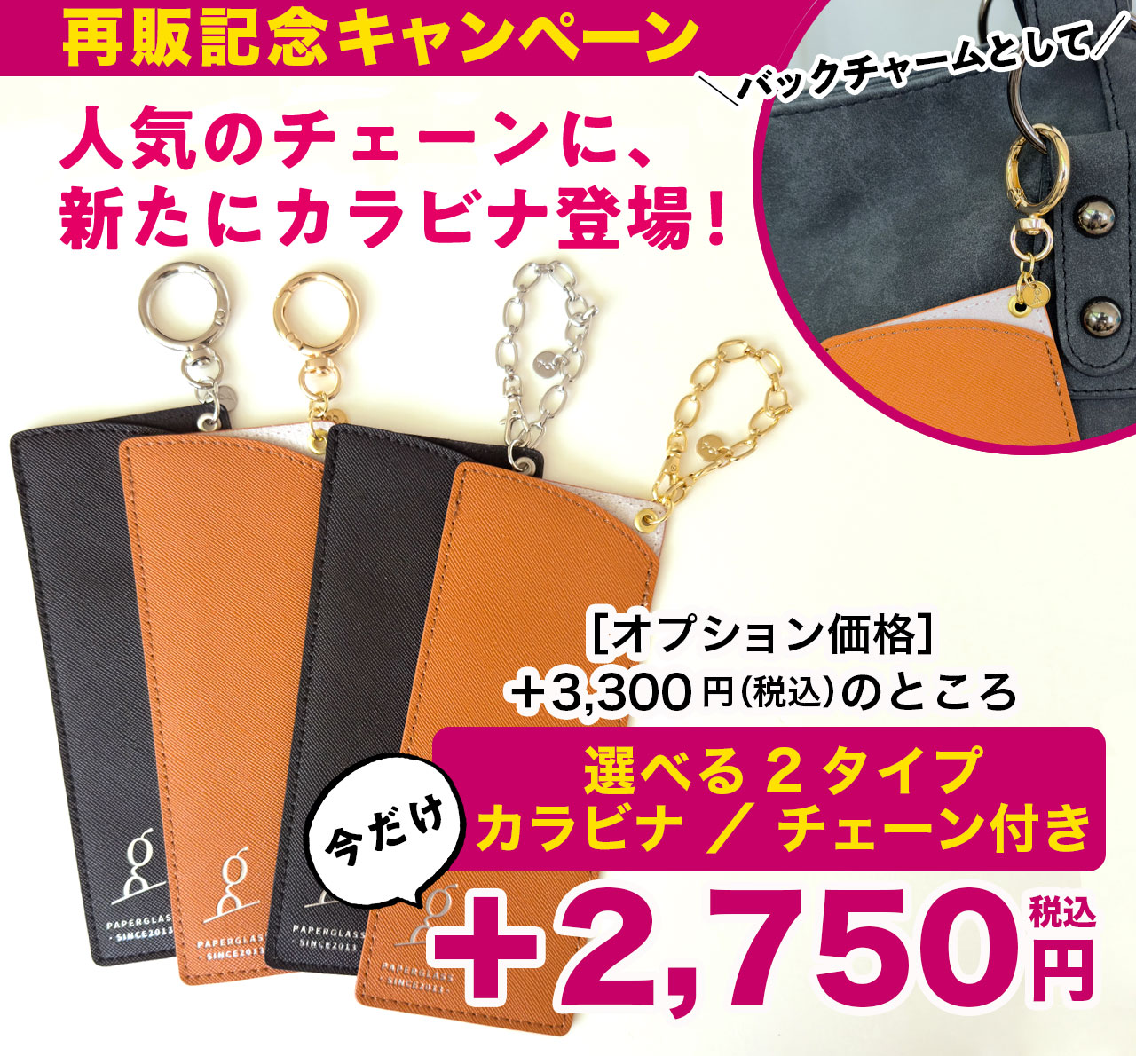 付属ケース用カラビナ・チェーン付き