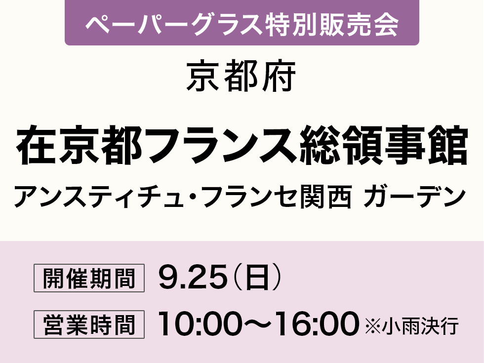 薄型メガネ 老眼鏡 ペーパーグラス